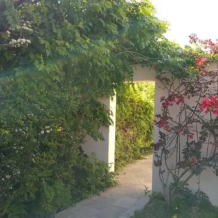 Casa vacanze Sunny House In Ialysos (Rhodes)