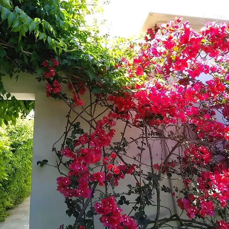 Sunny House In Casa vacanze