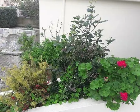 Sunny House In Ialysos (Rhodes)