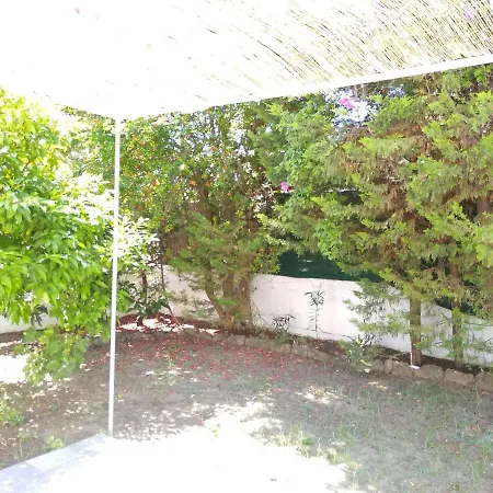Sunny House In *